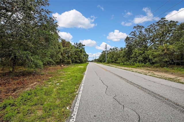 18933 Old Shady Hills Rd, Spring Hill, FL 34610 - photo 14