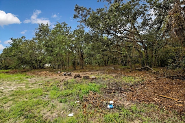 18933 Old Shady Hills Rd, Spring Hill, FL 34610 - photo 15