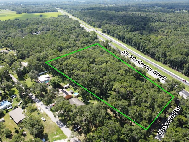 Cortez Blvd, Brooksville, FL 34601 - photo 2