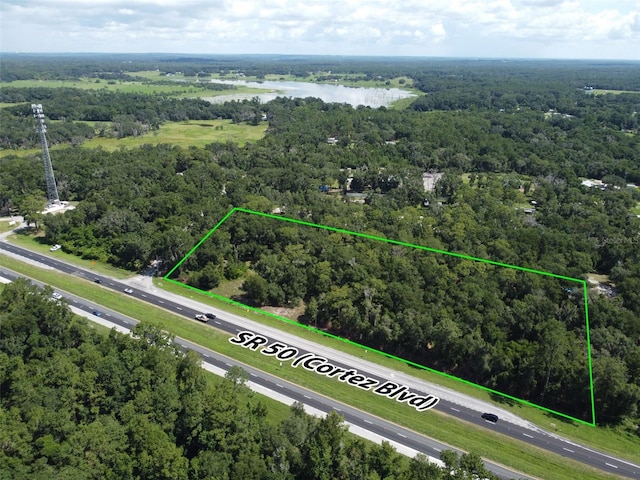 Cortez Blvd, Brooksville, FL 34601 - photo 3