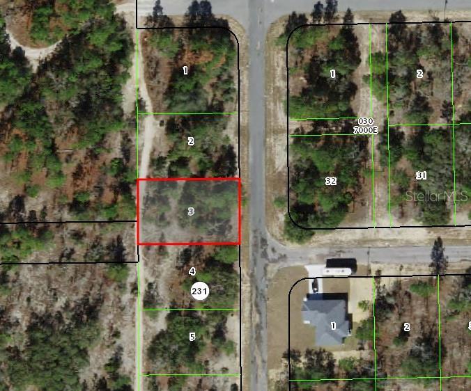 10346 N Spaulding Dr, Citrus Springs, FL 34433