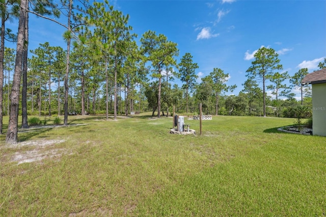 18043 Palmdale Rd, Weeki Wachee, FL 34614 - photo 56