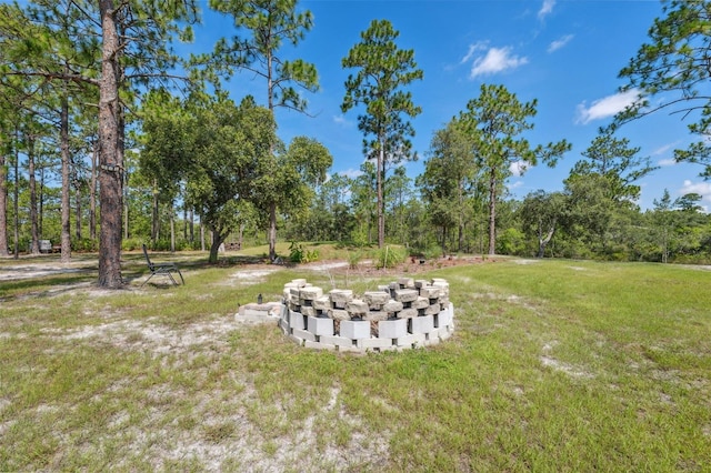 18043 Palmdale Rd, Weeki Wachee, FL 34614 - photo 57