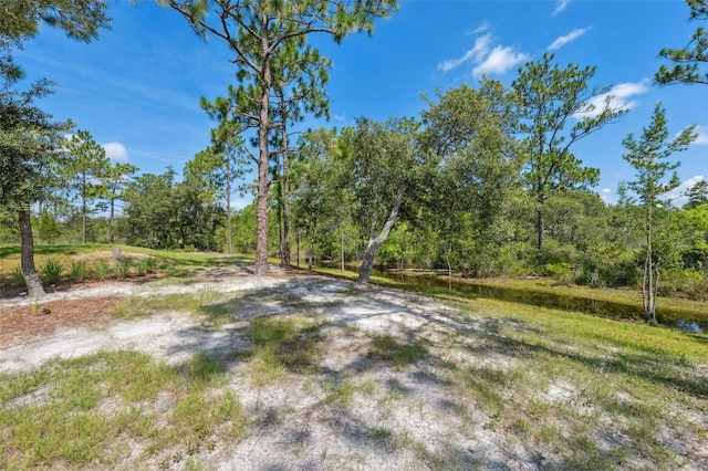 18043 Palmdale Rd, Weeki Wachee, FL 34614 - photo 58