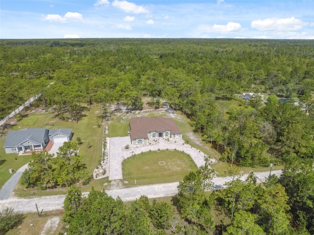 18043 Palmdale Rd, Weeki Wachee, FL 34614 - photo 67