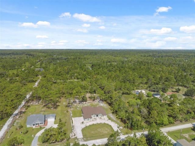 18043 Palmdale Rd, Weeki Wachee, FL 34614 - photo 69