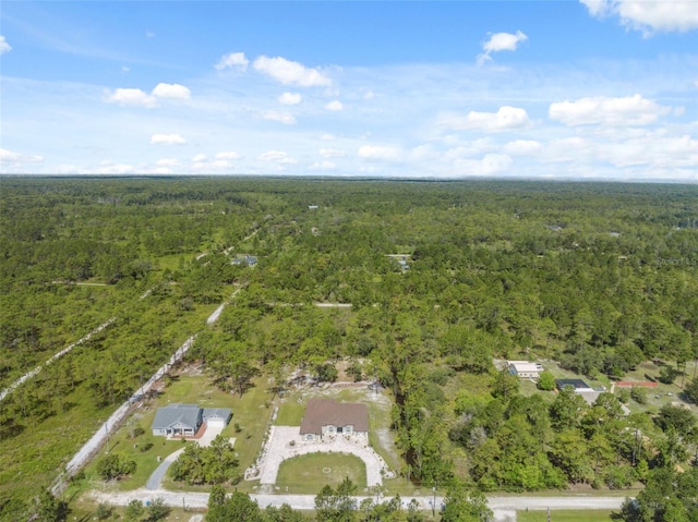 18043 Palmdale Rd, Weeki Wachee, FL 34614 - photo 70