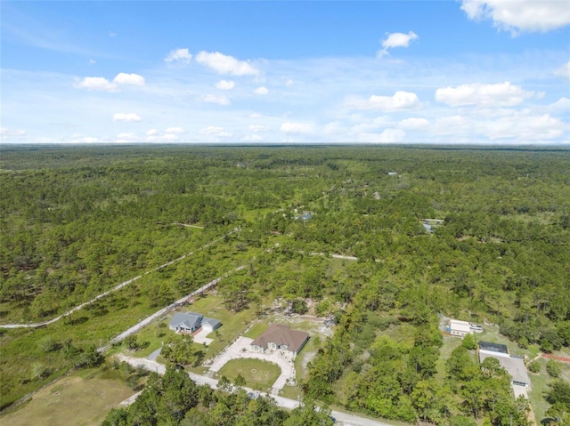 18043 Palmdale Rd, Weeki Wachee, FL 34614 - photo 71