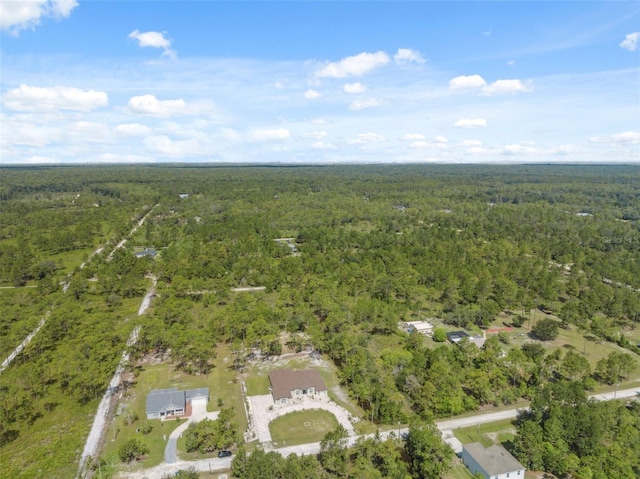18043 Palmdale Rd, Weeki Wachee, FL 34614 - photo 72