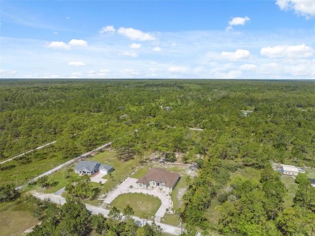 18043 Palmdale Rd, Weeki Wachee, FL 34614 - photo 75