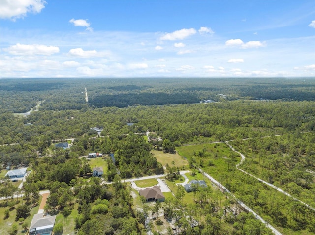 18043 Palmdale Rd, Weeki Wachee, FL 34614 - photo 76