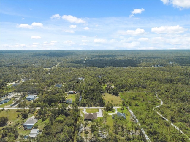 18043 Palmdale Rd, Weeki Wachee, FL 34614 - photo 77