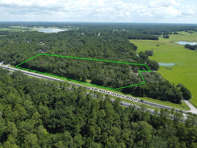 25247 Cortez Blvd, Brooksville, FL 34601 - photo 1