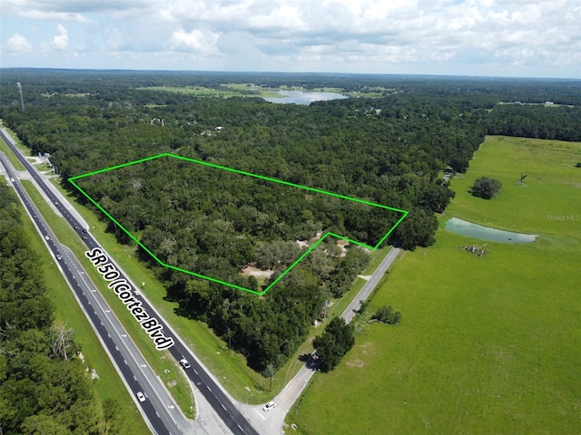 25247 Cortez Blvd, Brooksville, FL 34601 - photo 2