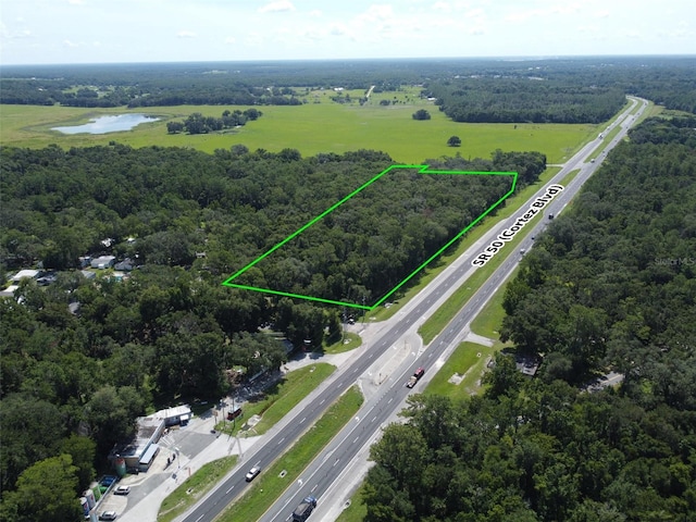 25247 Cortez Blvd, Brooksville, FL 34601 - photo 3