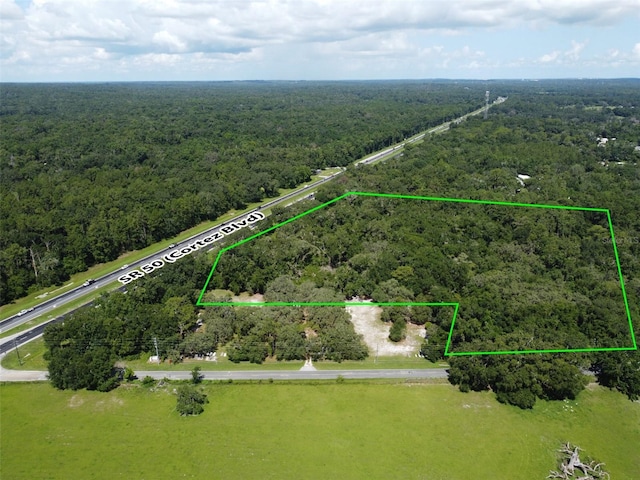 25247 Cortez Blvd, Brooksville, FL 34601 - photo 4