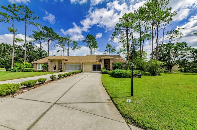 9519 Scenic Pine Ct, New Port Richey, FL 34655 - ranch-style home with concrete driveway, a front lawn, and a garage