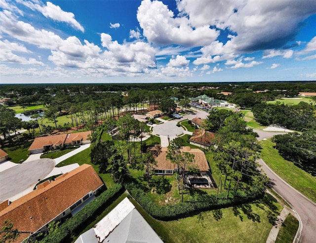 9519 Scenic Pine Ct, New Port Richey, FL 34655 - aerial view of residential area featuring a large body of water