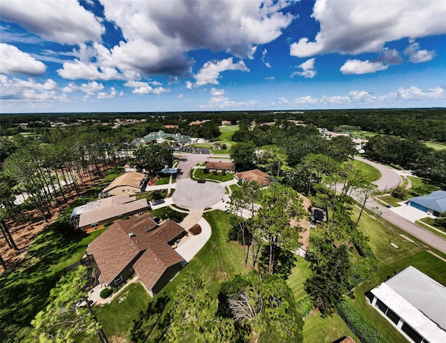 9519 Scenic Pine Ct, New Port Richey, FL 34655 - aerial view