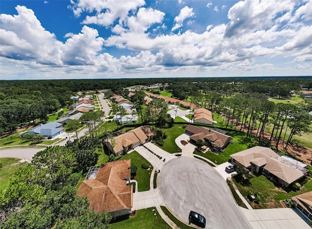 9519 Scenic Pine Ct, New Port Richey, FL 34655 - aerial view of residential area