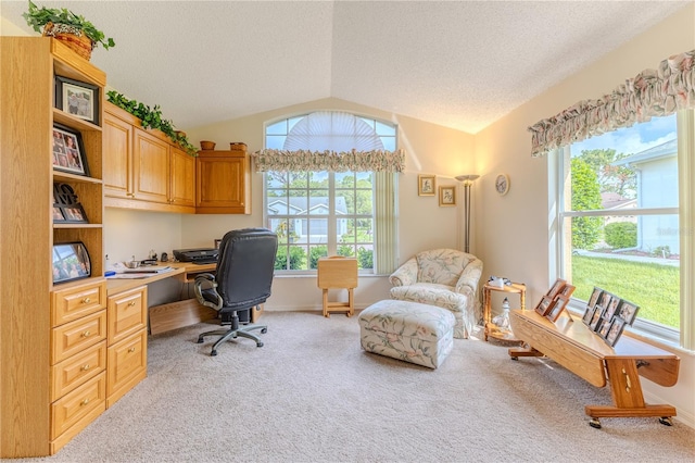 464 Mistwood Ct, Spring Hill, FL 34609 - photo 10