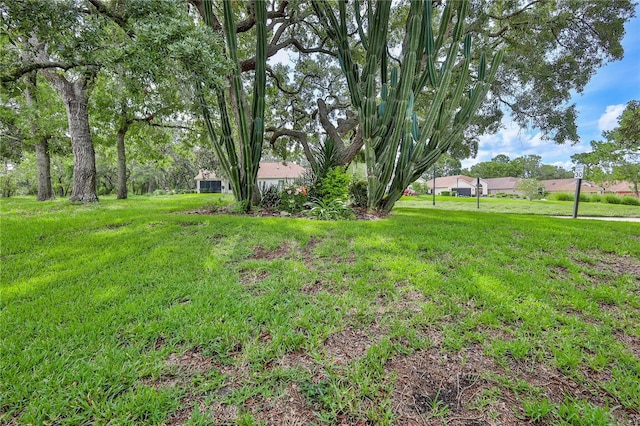 464 Mistwood Ct, Spring Hill, FL 34609 - photo 51