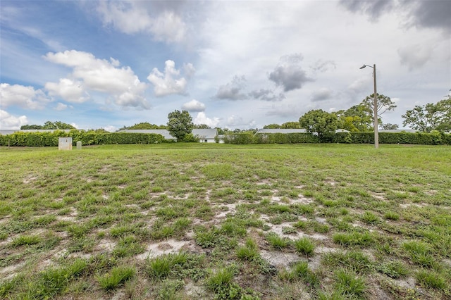 11127 Water Oak Dr, Port Richey, FL 34668 - view of grassy yard