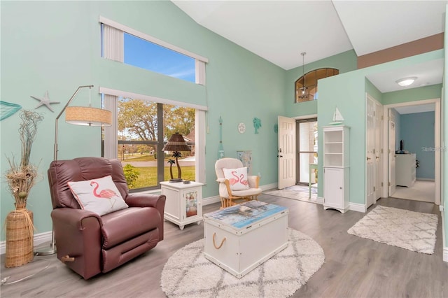 9626 Woodhollow Ct, New Port Richey, FL 34655 - living area with a high ceiling and wood finished floors