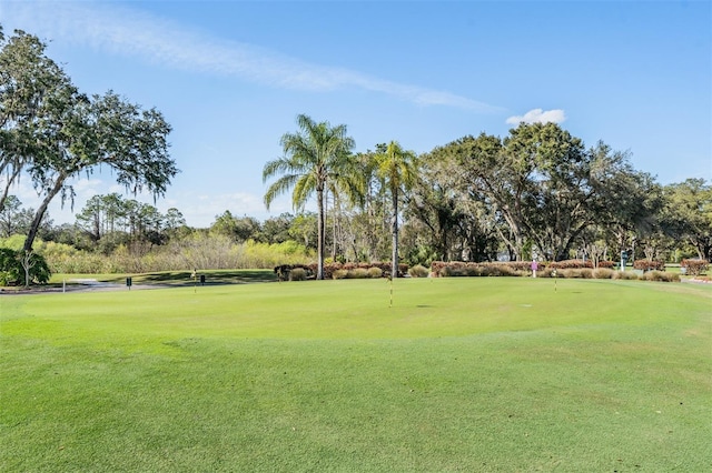 9626 Woodhollow Ct, New Port Richey, FL 34655 - view of community featuring a putting area, golf course view, and view of wooded area