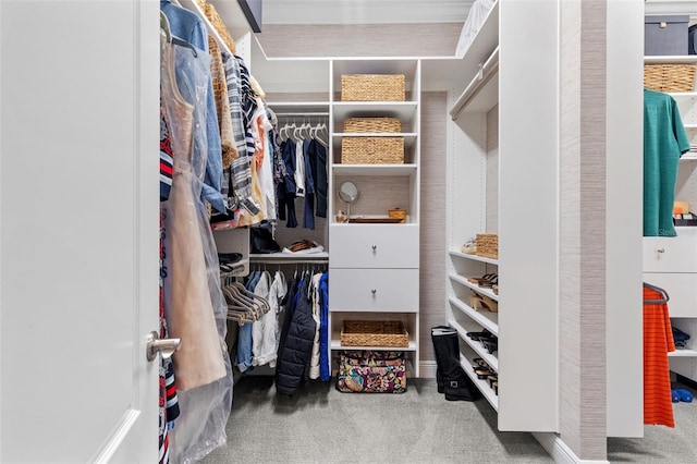 13208 Fawn Lily Dr, Riverview, FL 33579 - spacious closet featuring carpet flooring