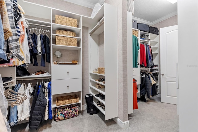 13208 Fawn Lily Dr, Riverview, FL 33579 - spacious closet with carpet flooring