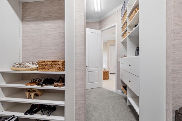 13208 Fawn Lily Dr, Riverview, FL 33579 - walk in closet featuring carpet