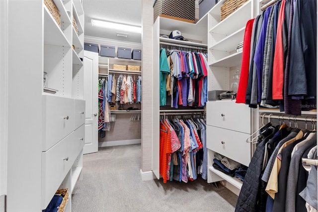 13208 Fawn Lily Dr, Riverview, FL 33579 - spacious closet featuring carpet