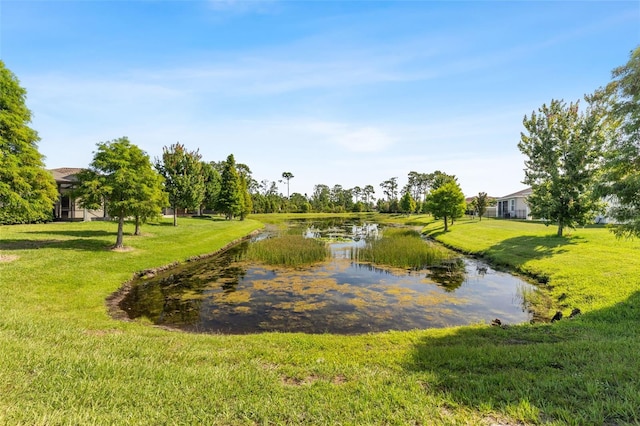 13208 Fawn Lily Dr, Riverview, FL 33579 - view of community with a water view and a yard