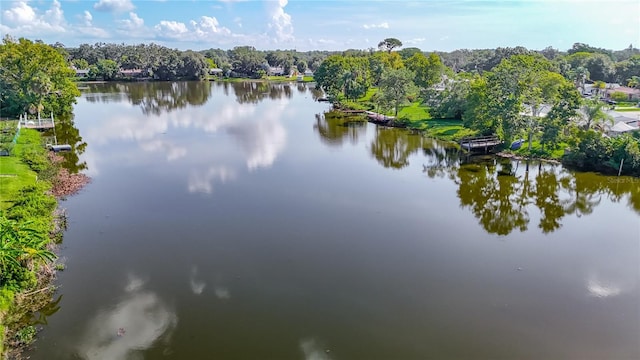 7109 Kapp Ct, New Port Richey, FL 34653 - photo 58