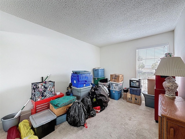 225 Country Club Dr Unit A203, Largo, FL 33771 - view of storage
