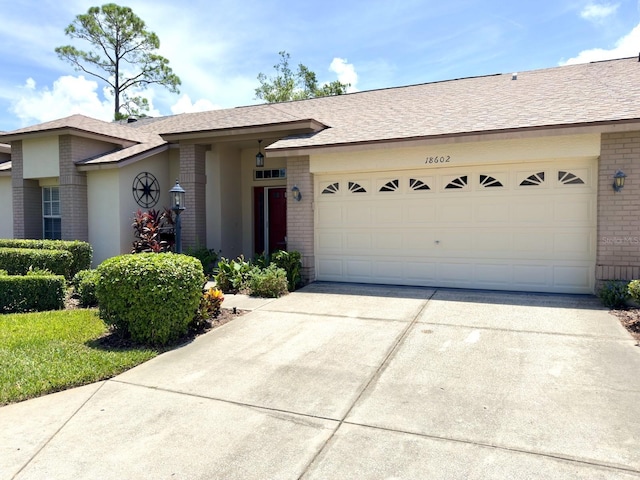 18602 Bent Pine Dr, Hudson, FL 34667 - photo 3