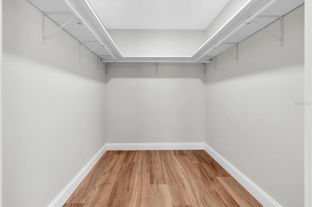 6529 Taylor Ct, New Port Richey, FL 34653 - walk in closet with light wood-style floors