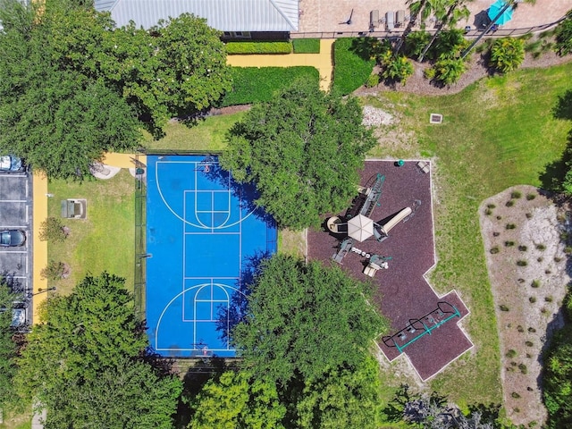 11126 Biddeford Pl, New Port Richey, FL 34654 - drone / aerial view