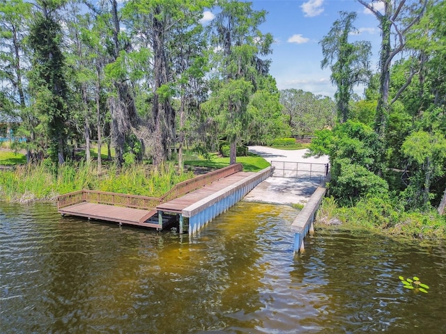 11126 Biddeford Pl, New Port Richey, FL 34654 - dock with a boat ramp and a water view
