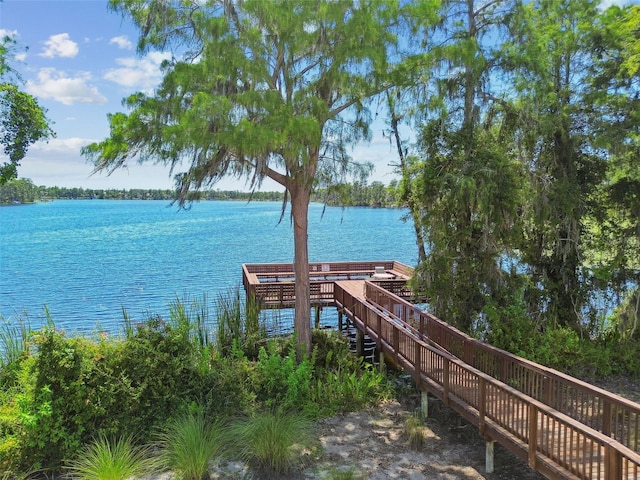 11126 Biddeford Pl, New Port Richey, FL 34654 - dock featuring a water view