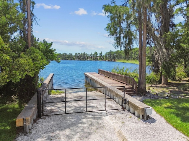 11126 Biddeford Pl, New Port Richey, FL 34654 - dock with a boat ramp and a water view