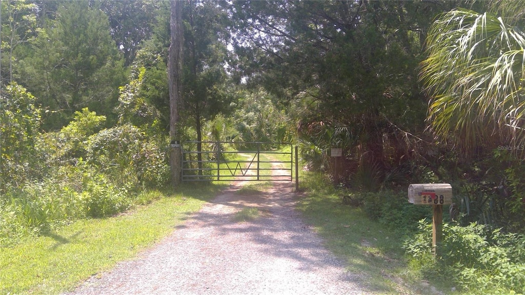 1488 Algood Rd, Spring Hill, FL 34607 - photo 2