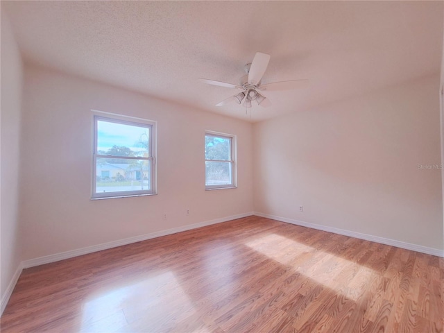 1611 Cromwell Dr, Tarpon Springs, FL 34689 - photo 13