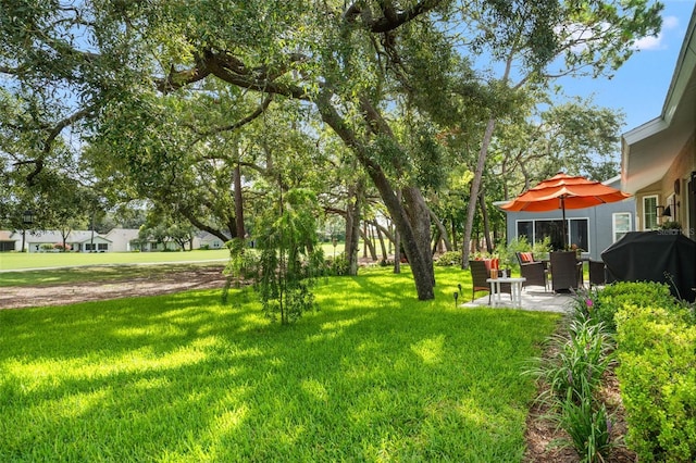view of grassy yard featuring a patio