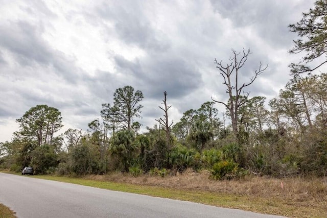 1081 Sherwin St, Port Charlotte, FL 33953