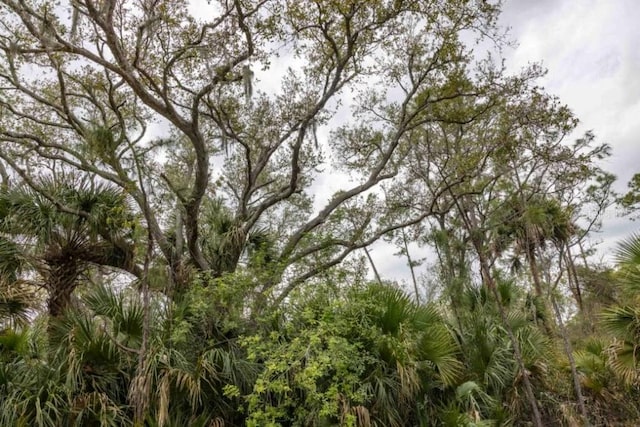 1081 Sherwin St, Port Charlotte, FL 33953