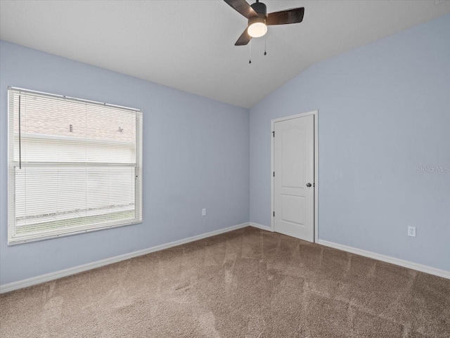 3891 Crossline Dr, Spring Hill, FL 34609 - photo 31