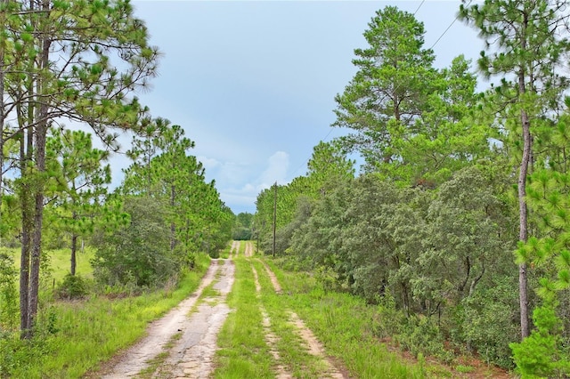 9423 N Tami Path, Dunnellon, FL 34433