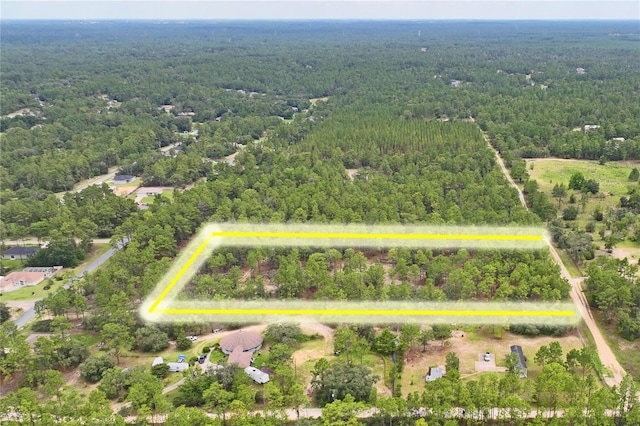 9423 N Tami Path, Dunnellon, FL 34433